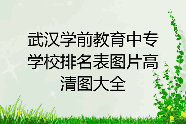 武汉学前教育中专学校排名表图片高清图大全