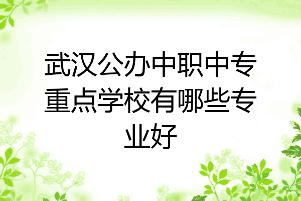 武汉公办中职中专重点学校有哪些专业好