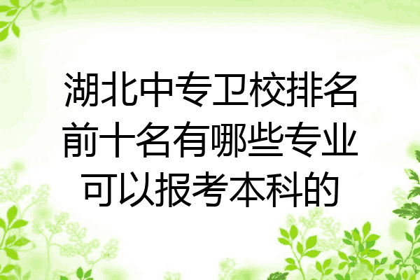 湖北中专卫校排名前十名有哪些专业可以报考本科的
