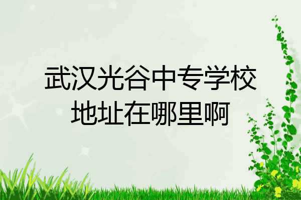 武汉光谷中专学校地址在哪里啊