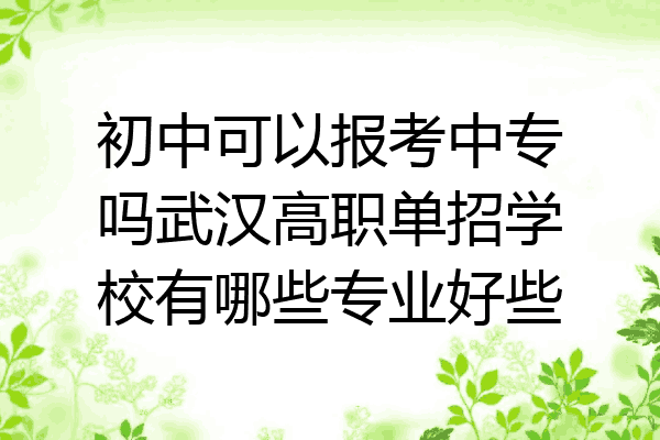 初中可以报考中专吗武汉高职单招学校有哪些专业好些