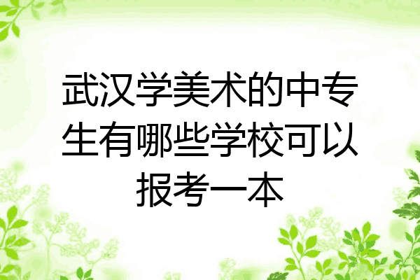 武汉学美术的中专生有哪些学校可以报考一本