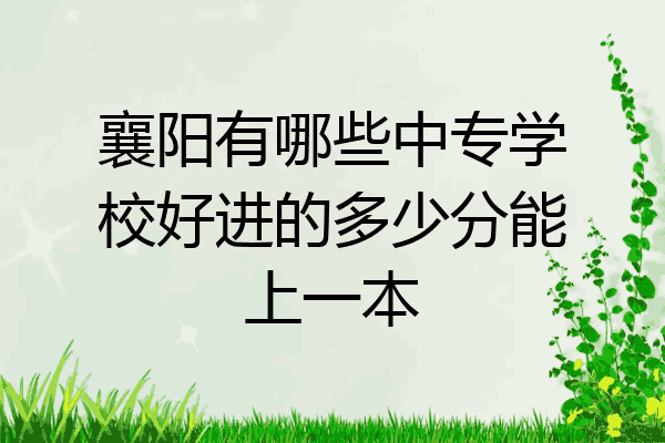 襄阳有哪些中专学校好进的多少分能上一本