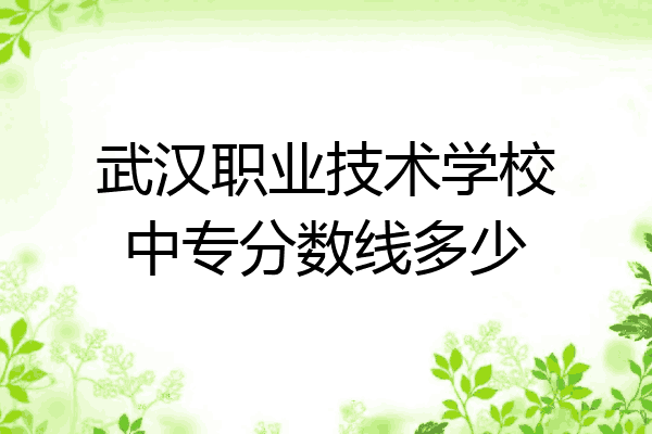 武汉职业技术学校中专分数线多少