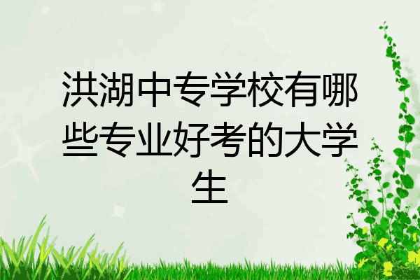 洪湖中专学校有哪些专业好考的大学生