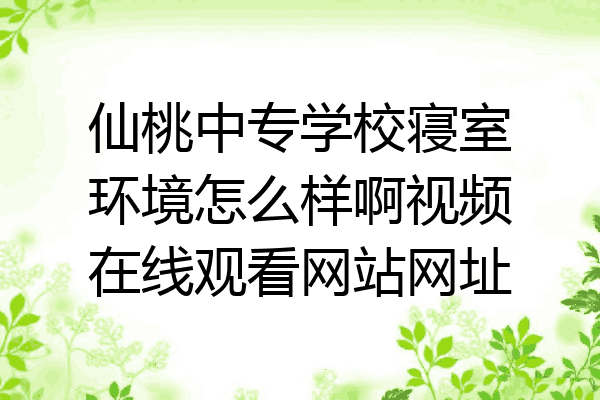 仙桃中专学校寝室环境怎么样啊视频在线观看网站网址