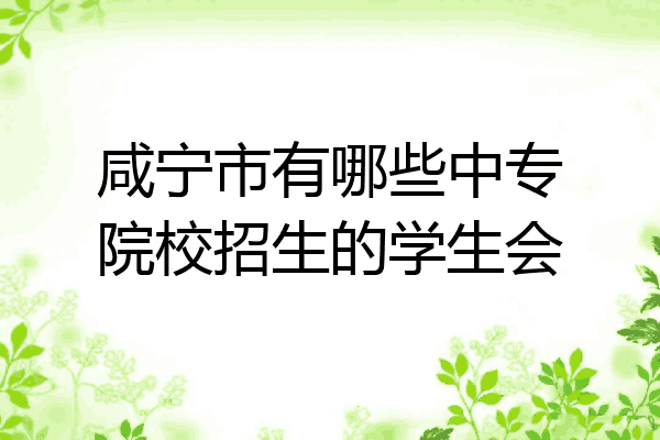 咸宁市有哪些中专院校招生的学生会