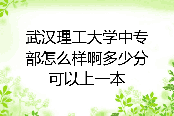 武汉理工大学中专部怎么样啊多少分可以上一本