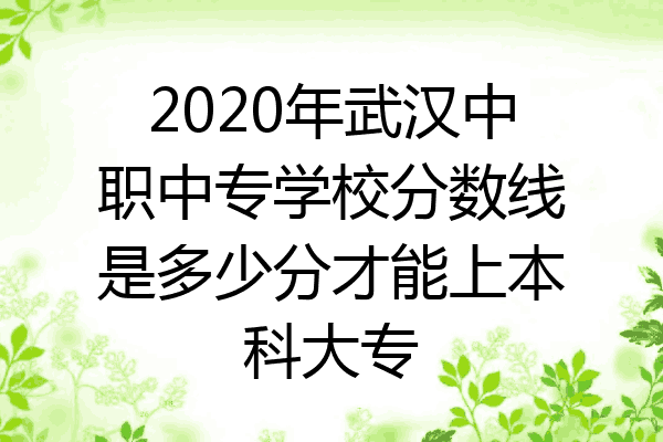 2020年武汉中职中专学校分数线是多少分才能上本科大专