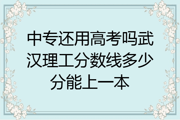 中专还用高考吗武汉理工分数线多少分能上一本