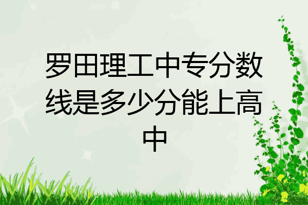 罗田理工中专分数线是多少分能上高中