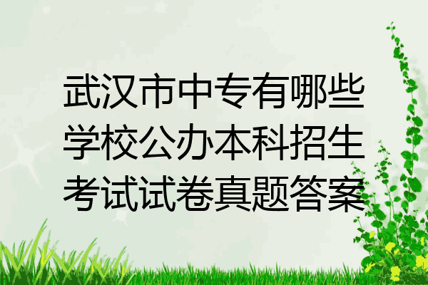 武汉市中专有哪些学校公办本科招生考试试卷真题答案
