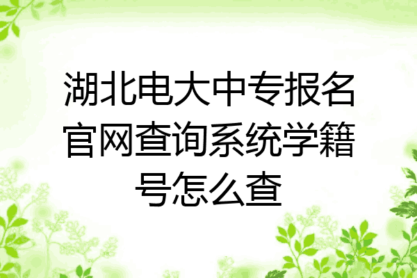 湖北电大中专报名官网查询系统学籍号怎么查