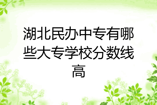 湖北民办中专有哪些大专学校分数线高