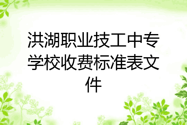 洪湖职业技工中专学校收费标准表文件