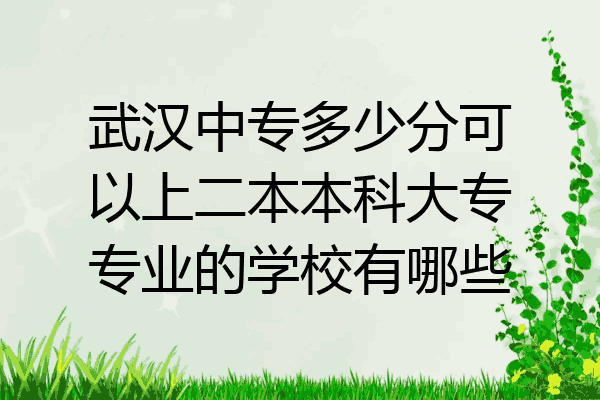 武汉中专多少分可以上二本本科大专专业的学校有哪些