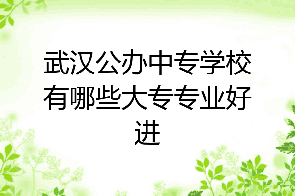 武汉公办中专学校有哪些大专专业好进
