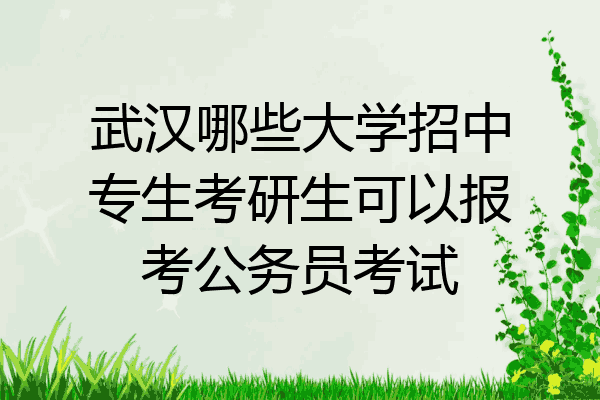武汉哪些大学招中专生考研生可以报考公务员考试