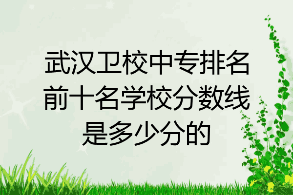 武汉卫校中专排名前十名学校分数线是多少分的