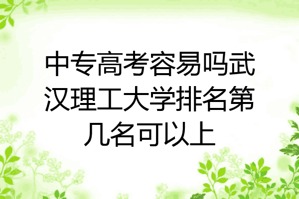 中专高考容易吗武汉理工大学排名第几名可以上