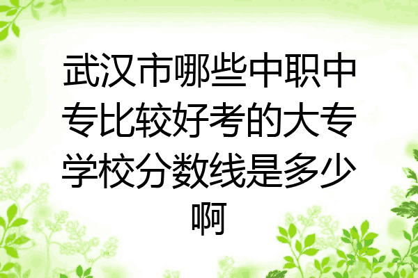 武汉市哪些中职中专比较好考的大专学校分数线是多少啊