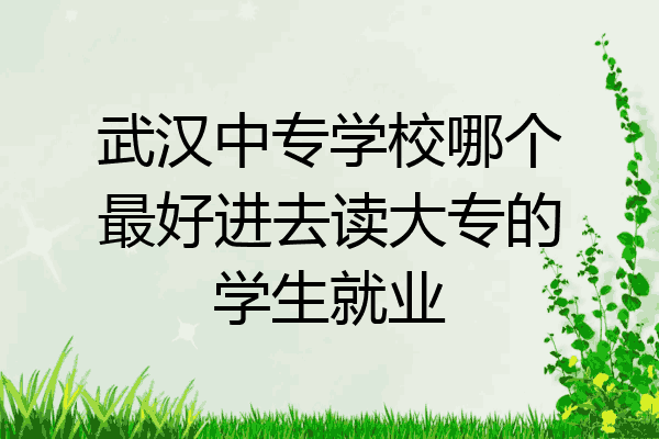 武汉中专学校哪个最好进去读大专的学生就业