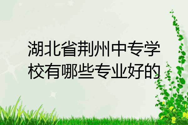 湖北省荆州中专学校有哪些专业好的