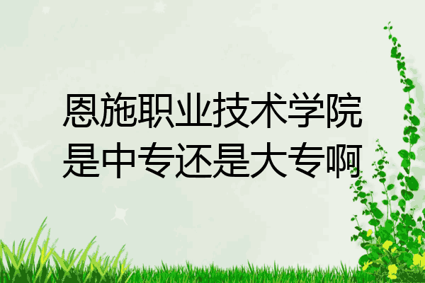 恩施职业技术学院是中专还是大专啊