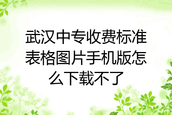 武汉中专收费标准表格图片手机版怎么下载不了