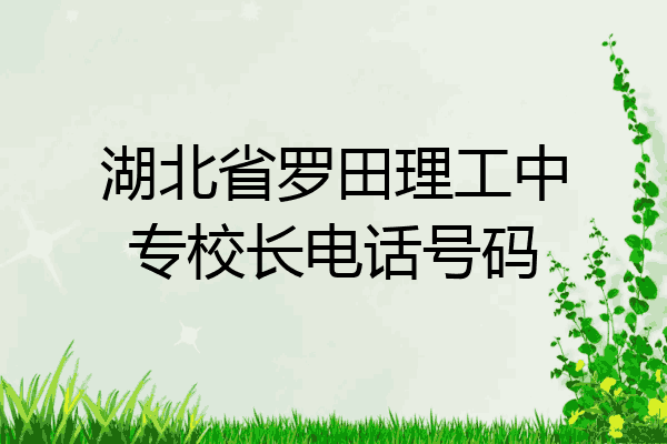 湖北省罗田理工中专校长电话号码