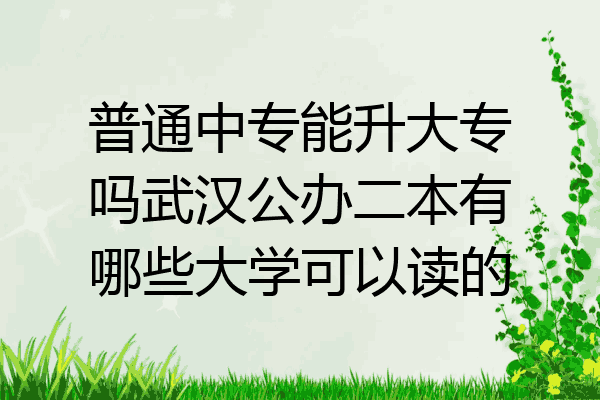 普通中专能升大专吗武汉公办二本有哪些大学可以读的