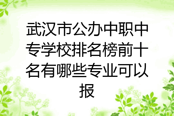 武汉市公办中职中专学校排名榜前十名有哪些专业可以报