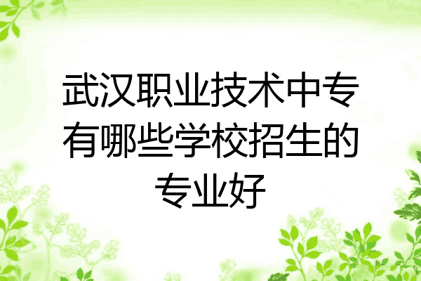 武汉职业技术中专有哪些学校招生的专业好