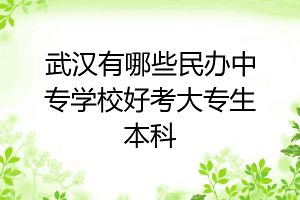 武汉有哪些民办中专学校好考大专生本科