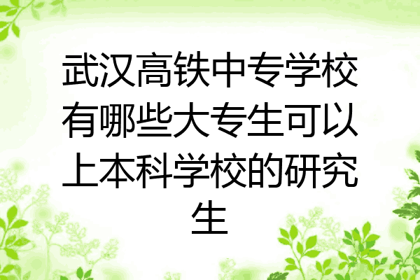 武汉高铁中专学校有哪些大专生可以上本科学校的研究生