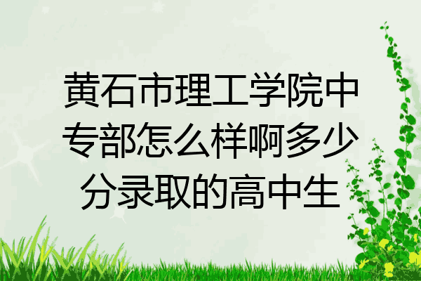 黄石市理工学院中专部怎么样啊多少分录取的高中生