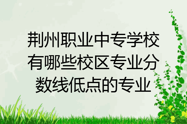 荆州职业中专学校有哪些校区专业分数线低点的专业