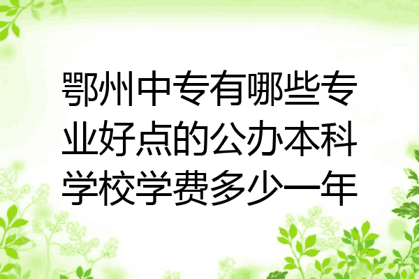鄂州中专有哪些专业好点的公办本科学校学费多少一年