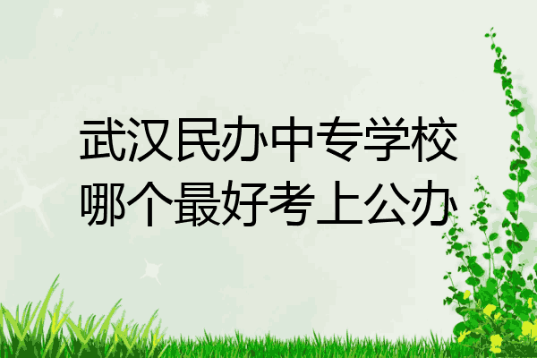 武汉民办中专学校哪个最好考上公办