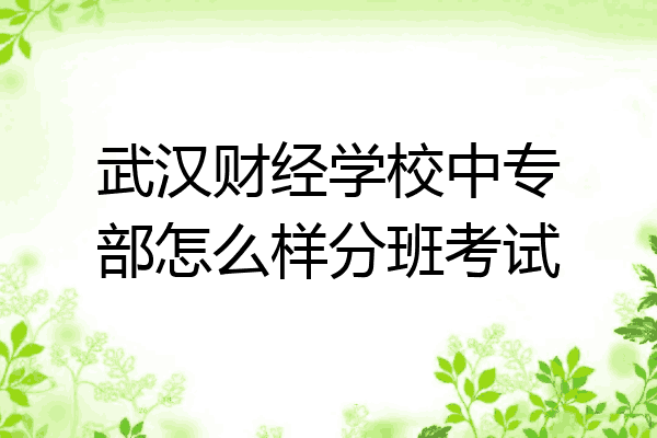 武汉财经学校中专部怎么样分班考试