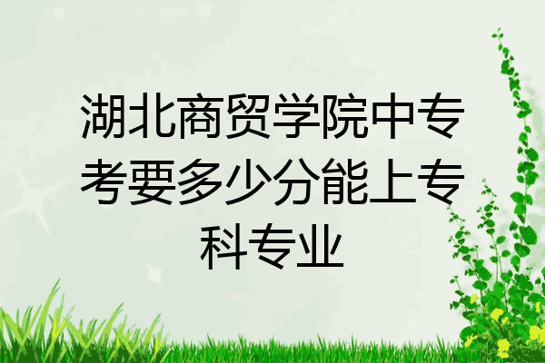 湖北商贸学院中专考要多少分能上专科专业
