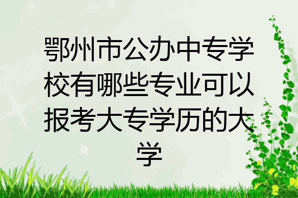 鄂州市公办中专学校有哪些专业可以报考大专学历的大学