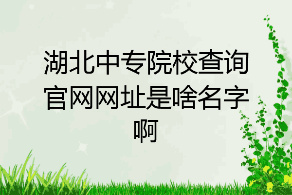 湖北中专院校查询官网网址是啥名字啊