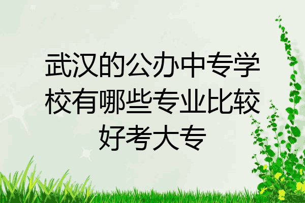 武汉的公办中专学校有哪些专业比较好考大专