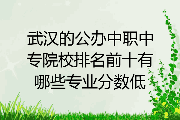 武汉的公办中职中专院校排名前十有哪些专业分数低