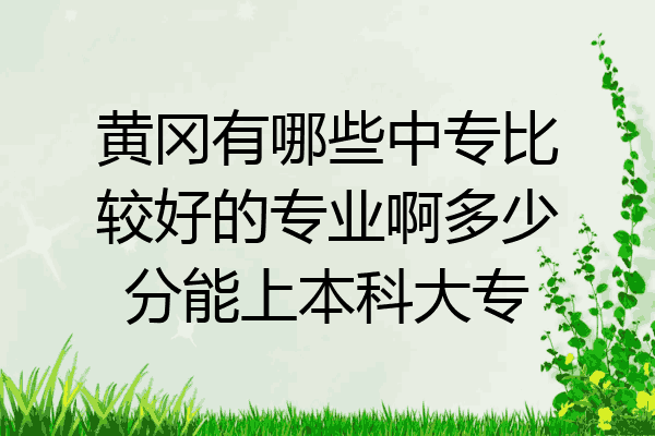 黄冈有哪些中专比较好的专业啊多少分能上本科大专