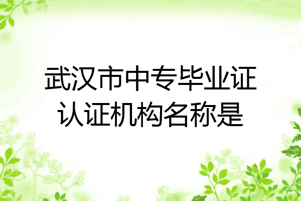 武汉市中专毕业证认证机构名称是