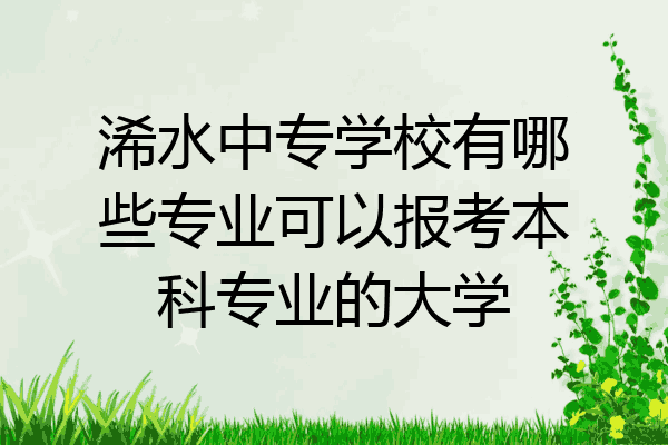 浠水中专学校有哪些专业可以报考本科专业的大学