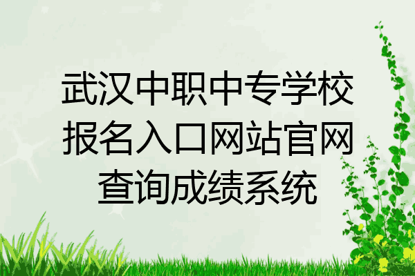武汉中职中专学校报名入口网站官网查询成绩系统