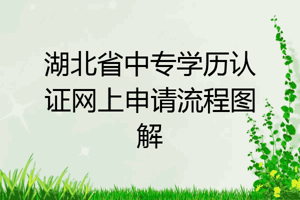湖北省中专学历认证网上申请流程图解